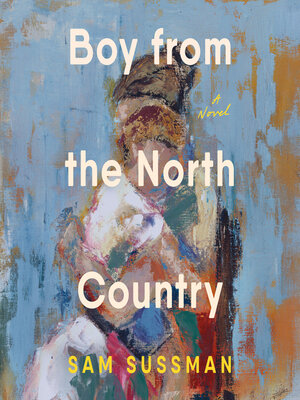 cover image of Boy from the North Country